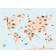 Vissevasse World Map with Animals Poster
