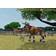 Zoo Tycoon 2 (PC)