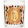 Diptyque Délice Scented Candle