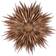 Watt & Veke Maja Gold Advent Star ∅ 60cm