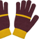 Harry Potter Adult Entry Gloves Gryffindor