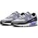 Nike Air Max 90 M - Photon Dust/Cool Grey/Black/Light Thistle