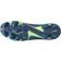 Puma Future Pro FG/AG - Persian Blue/White/Pro Green