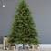 Outdoor Living Pre Lit Green Christmas Tree 180cm