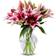 BENCHMARK BOUQUETS Lilies Bouquet