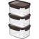 Lock & Lock Bisfree Modular Matlåda 3st 1.5L