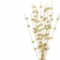 Shein Foam Gold Decoration 42cm