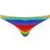 Svenjoyment Men's Thong Rainbow