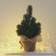 Winteria Mini Green Julgran 22cm