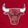 Mitchell & Ness Chicago Bulls Team Heritage Woven Short