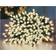 Premier 1000 TreeBrights Green Luci dell'Albero di Natale 1000 Lampade