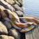 Klippan Yllefabrik Gotland Manta Multicolor (200x130cm)