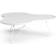 Swedese Flower Ash White Glazed Coffee Table 107x114cm