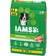 IAMS Proactive Health Minichunks Chicken & Whole Grain 20