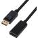 Visiontek DisplayPort - HDMI M-F Adapter 0.7ft