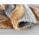 Serdim Rugs Soft Swirl Yellow, Grey 160x230cm