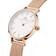 Daniel Wellington Petite Pressed Melrose (DW00100447)