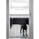 BabyDan Extra Tall Extending Child & Pet Gate