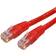 Cat6 UTP RJ45 - RJ45 M-M 100ft