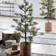 House Doctor Peuce with LED Lights Green Julgran 125cm