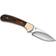 Buck Knives 113 Ranger Skinner Knife