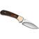 Buck Knives 113 Ranger Skinner Kniv