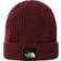 The North Face Explore Beanie Mandarin Hat - Orange