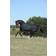 Bucas Irish Turnout Rug - Black/Gold