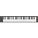 Blackstar Carry On FC49 Folding Midi Controller