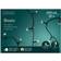 Kaemingk LED Basic 240