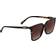 Michael Kors Canberra Solbriller Kvinder Tortoiseshell - Tortoise
