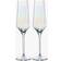 Anton Studio Palazzo Champagne Flutes - Set of 2 Flûte 2pcs