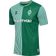 Hummel Men Werder Bremen 23/24 Home Jersey S/S