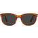 Persol PO1935S 96/48 Terra Di Siena Polarized