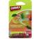 Carmex Tropical Fuktgivande läppbalsam Peach and Mango