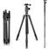 Neewer Carbon Fiber 66 inches/168 centimeters Camera Tripod Monopod with 360 Degree Ball Head,1/4 inch Quick Shoe Plate,Bag