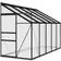 vidaXL Spacious Greenhouse Aluminum Polycarbonate