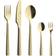 aida Raw Champagne Gold Cutlery Set 60pcs