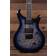 PRS SE Holcomb Blue Burst