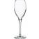 Stölzle Lausitz Vinea 2150029 Champagne Glass 21cl