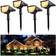 Jior Solar Landscape Black Ground Lighting 7.6cm 4pcs