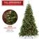 Casafield 9FT Realistic Pre-Lit Green Christmas Tree 108"