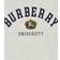 Burberry Kid's Logo Cotton Jersey T-shirt - Deep Dove Gray Mel