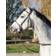 QHP Bitless bridle Ceto