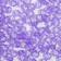 Shein 100pcs Acrylic Purple Semi-transparent Flat Round English Alphabet Beads For Jewelry Making Diy Necklace And Bracelet