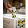 Gamma Brewing Company Organic Pilsner 4.8% 44 cl