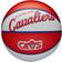 Wilson NBA Team Retro Mini Basketball