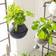 Lechuza Hanging Planter BOLA Color ALL-IN-ONE