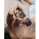 Kentucky Halter For Polar Horses Teddy - Rose