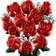 LEGO Botanicals Buket Roser 10328